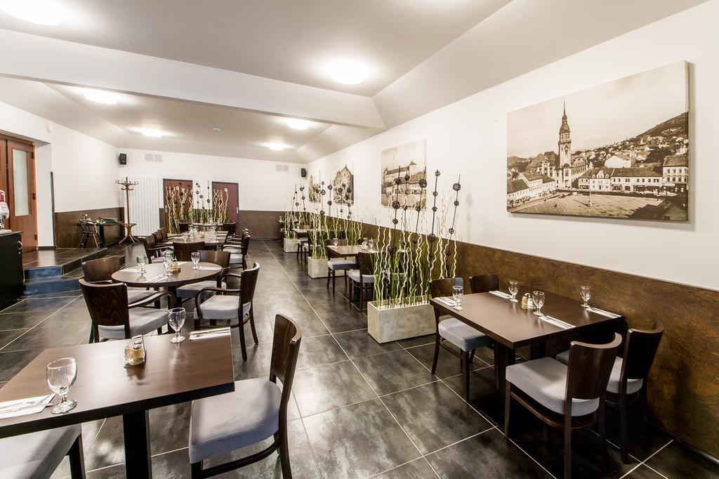 Hotel U Lva Bilina Luaran gambar